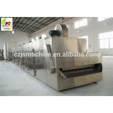 DWT-2-10 Series conveyor industrial fruit dryers